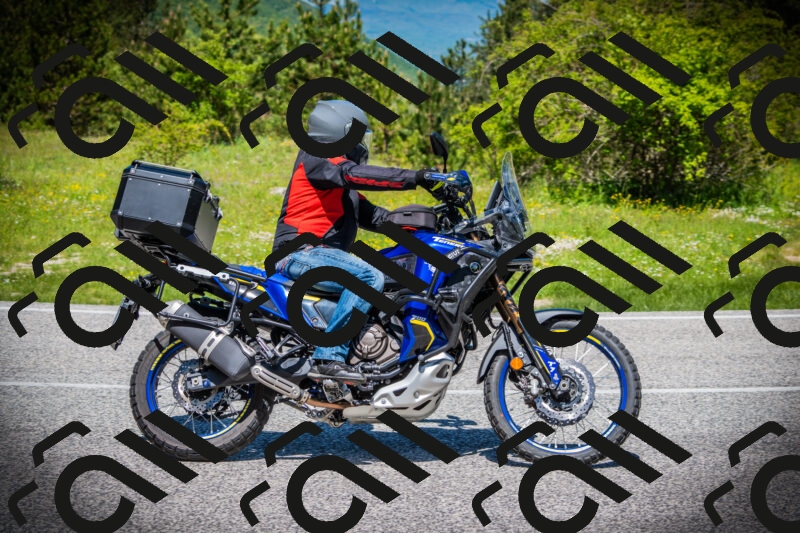 202505251209-DSC09124_c1_