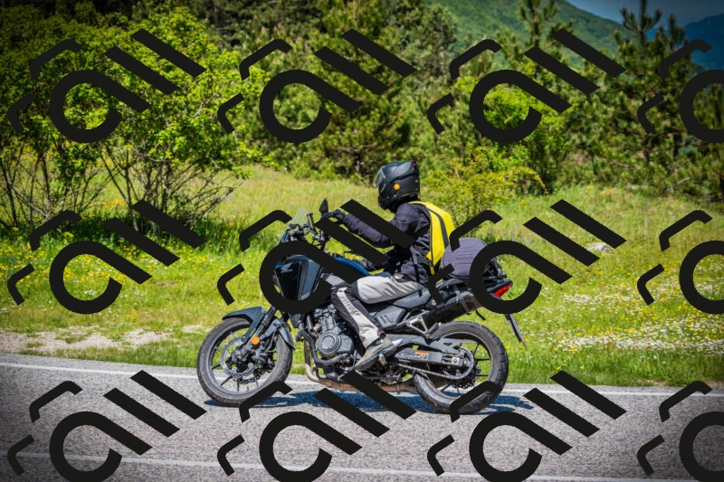 202505251209-DSC09135_c1_