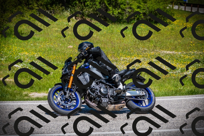 202505251210-DSC09150_c1_