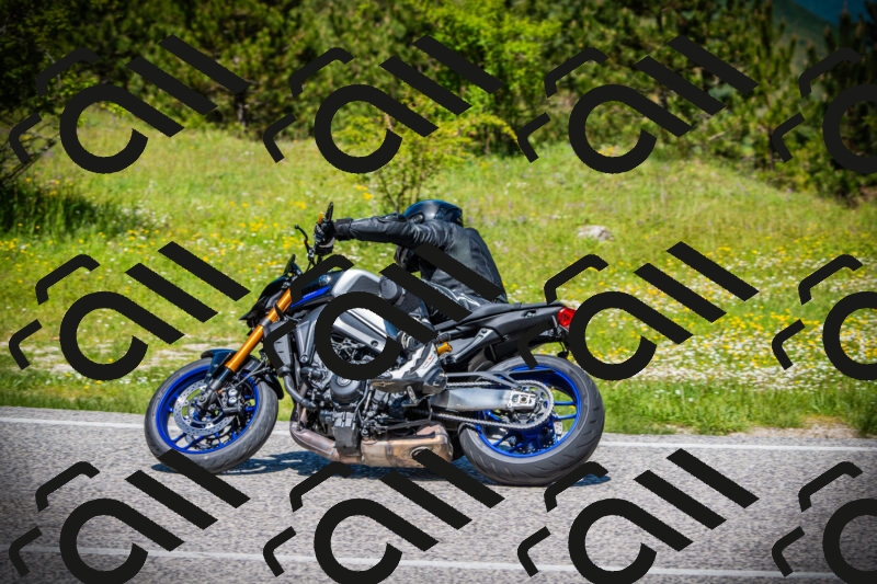 202505251210-DSC09151_c1_