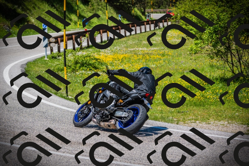 202505251210-DSC09152_c1_