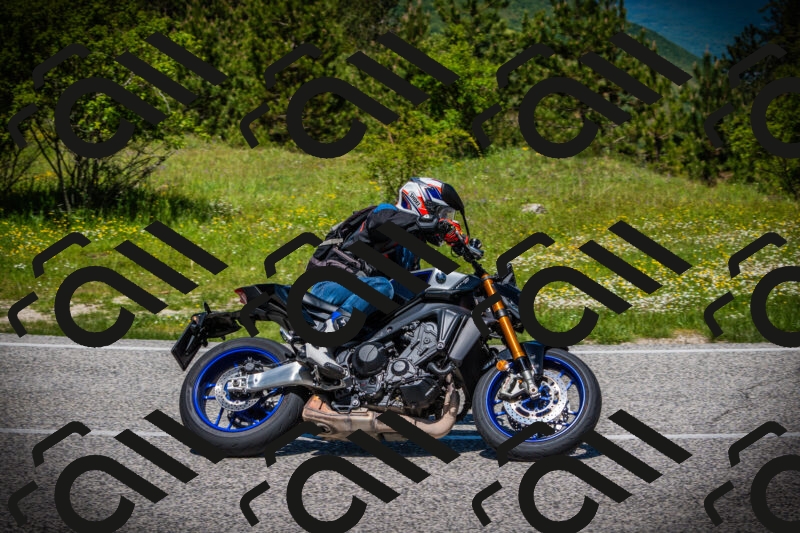 202505251211-DSC09171_c1_