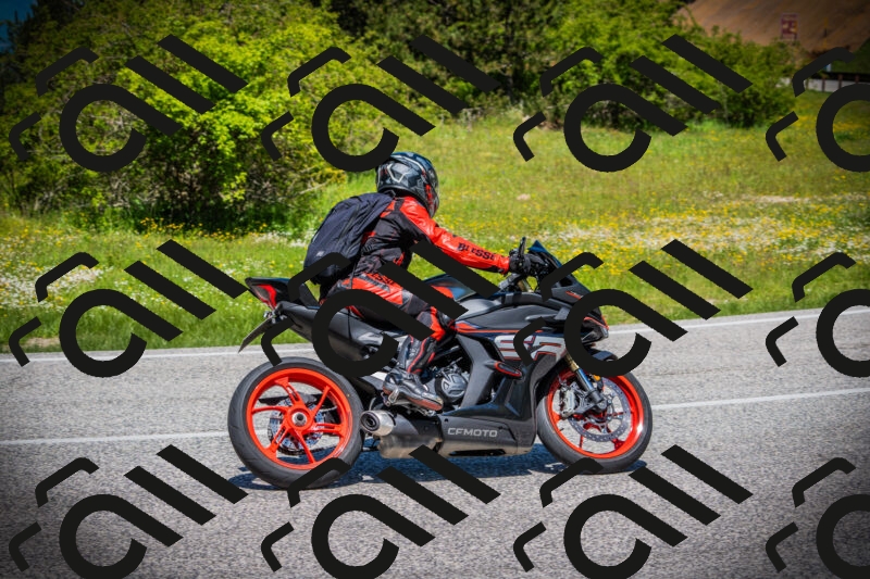 202505251212-DSC09186_c1_