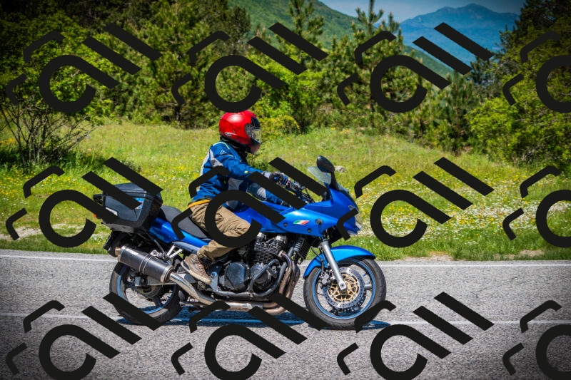 202505251212-DSC09198_c1_