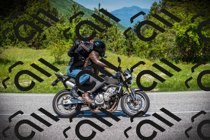 202505251212-DSC09204_c1_