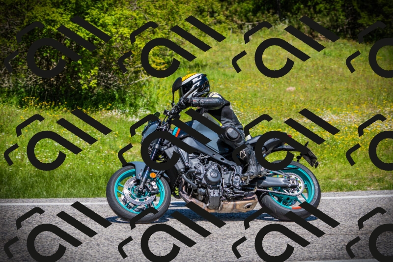 202505251213-DSC09217_c1_