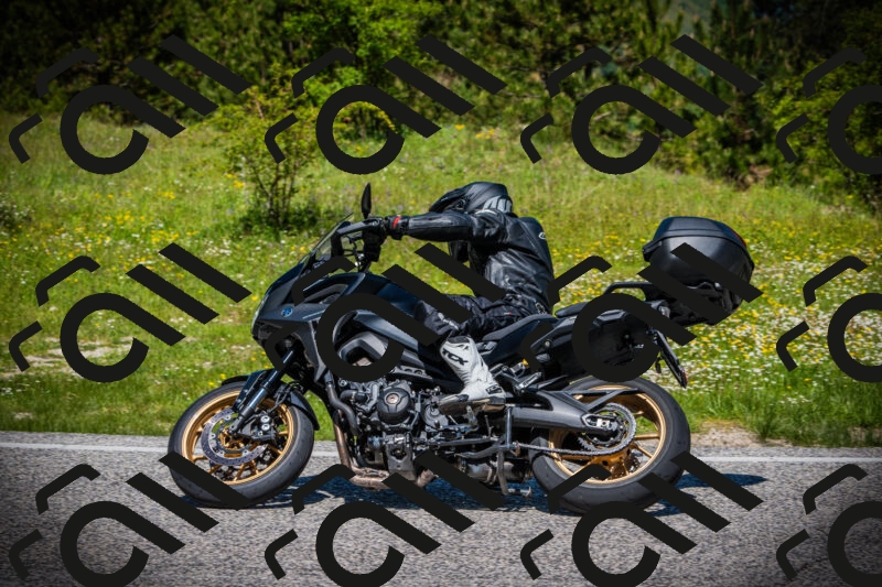 202505251213-DSC09218_c1_