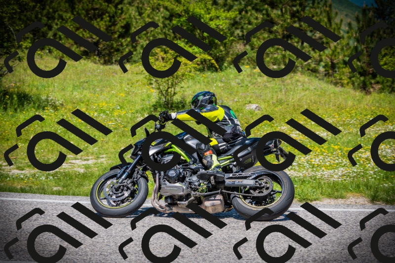 202505251213-DSC09225_c1_