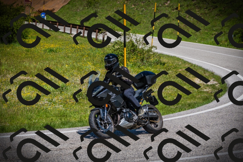 202505251214-DSC09231_c1_