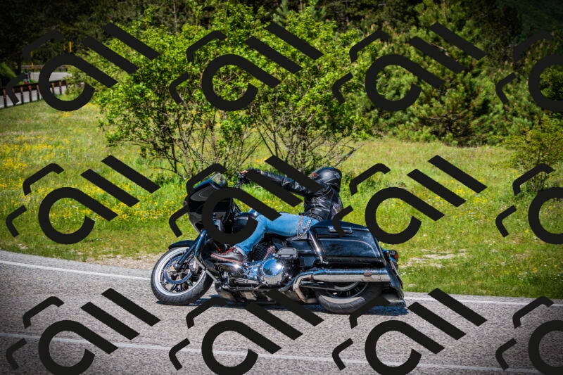 202505251214-DSC09238_c1_