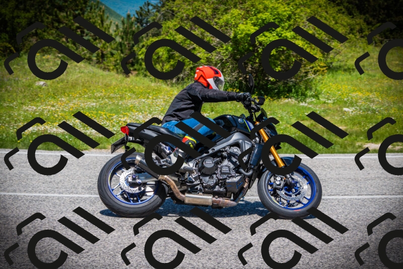 202505251216-DSC09249_c1_