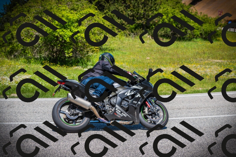 202505251216-DSC09271_c1_