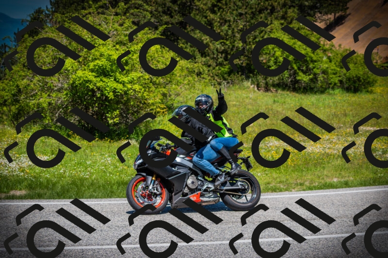 202505251218-DSC09295_c1_