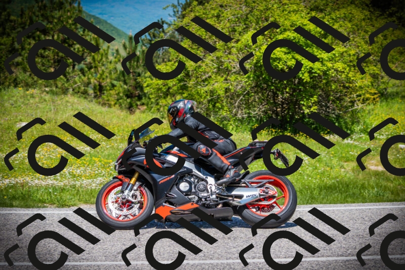 202505251218-DSC09302_c1_