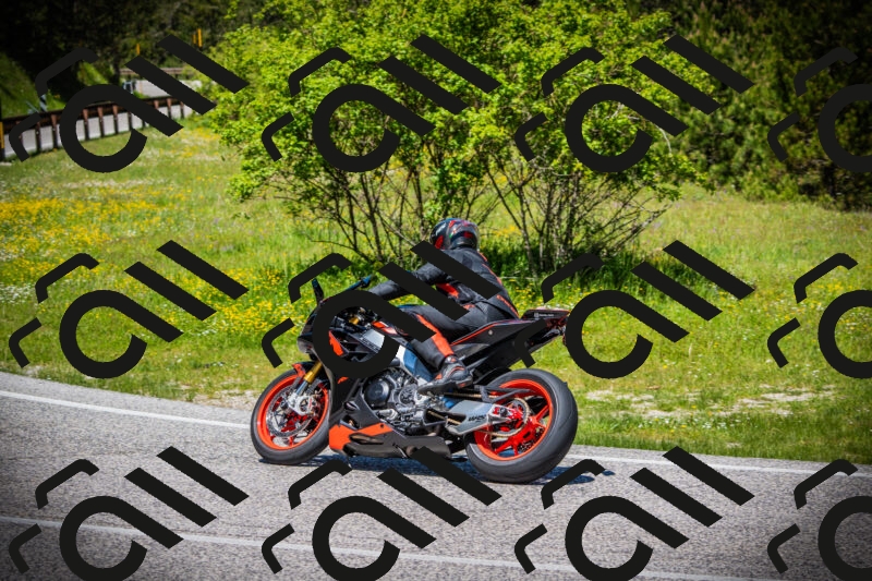 202505251218-DSC09303_c1_