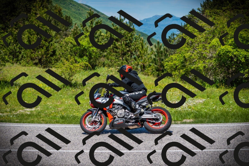 202505251218-DSC09306_c1_