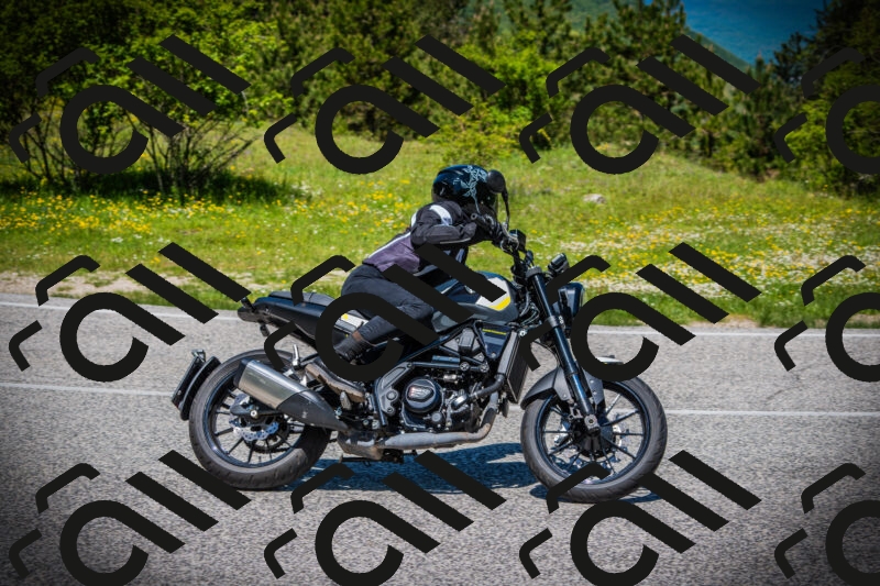 202505251221-DSC09317_c1_