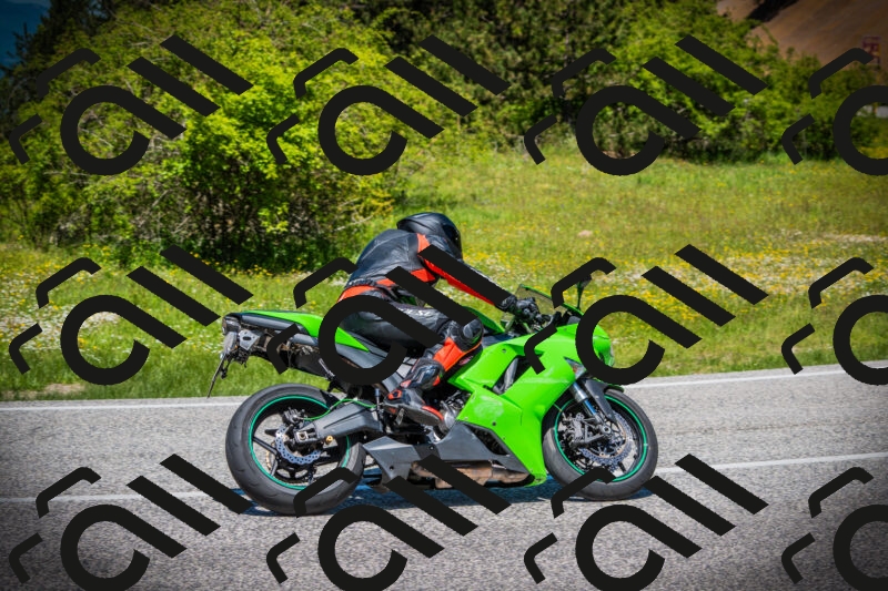 202505251222-DSC09338_c1_