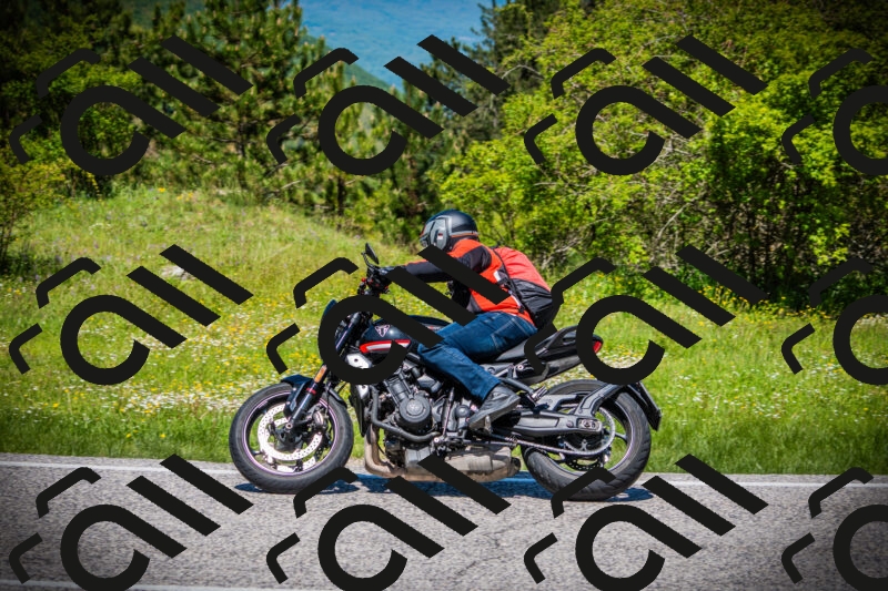 202505251225-DSC09363_c1_