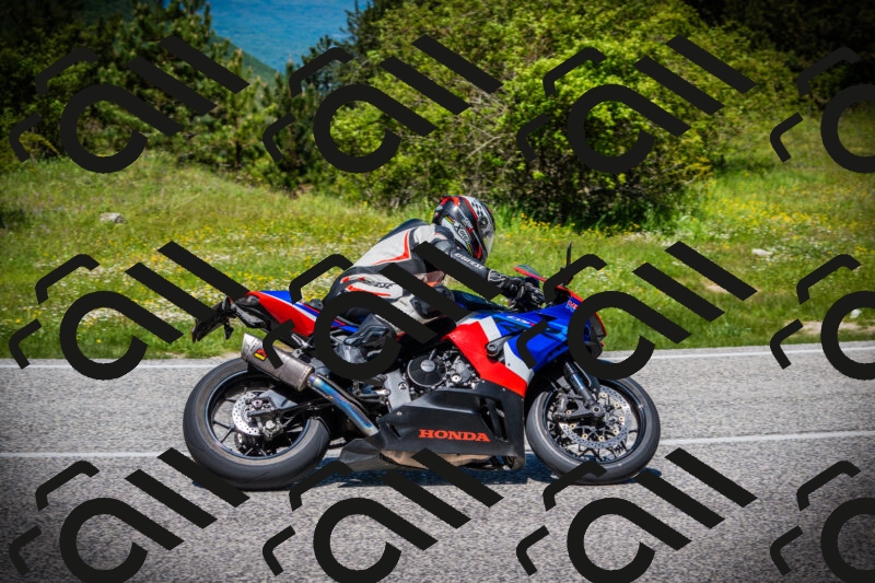 202505251226-DSC09376_c1_