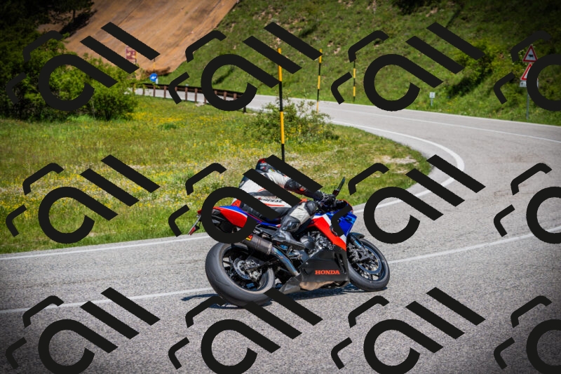 202505251226-DSC09377_c1_