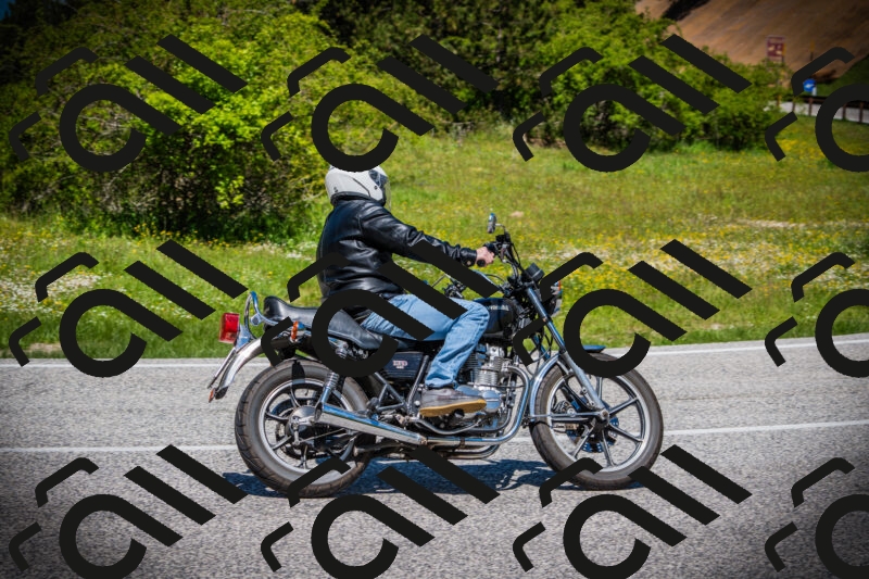 202505251227-DSC09391_c1_