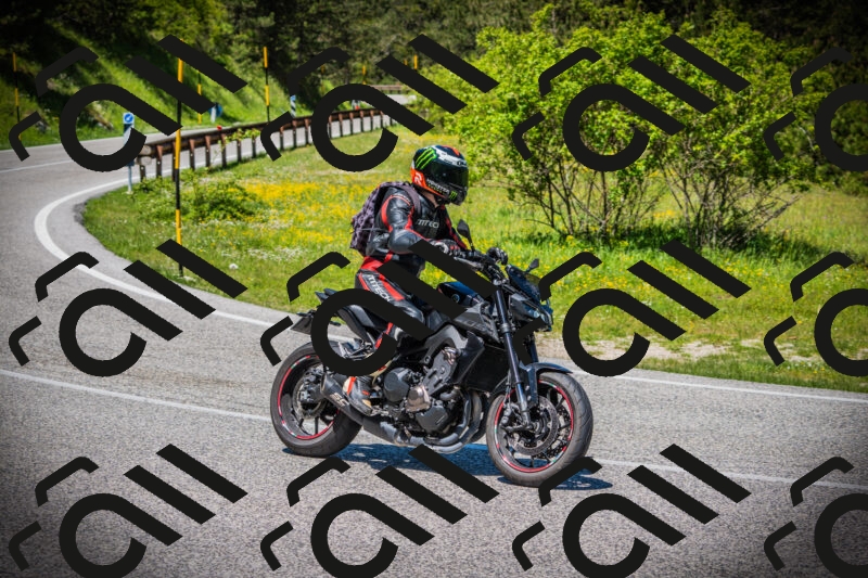 202505251227-DSC09394_c1_