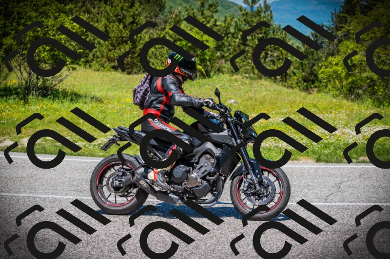 202505251227-DSC09395_c1_