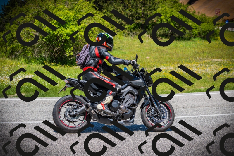 202505251227-DSC09396_c1_