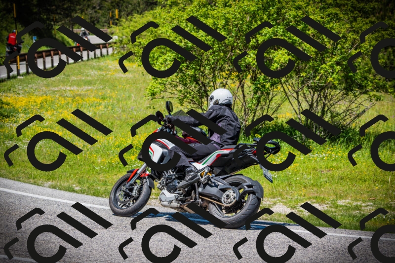 202505251227-DSC09407_c1_