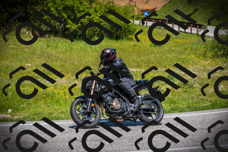 202505251228-DSC09416_c1_