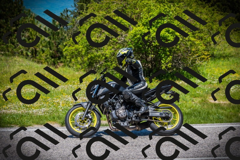 202505251228-DSC09424_c1_