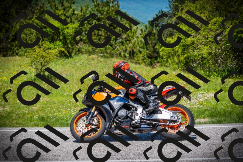 202505251228-DSC09429_c1_