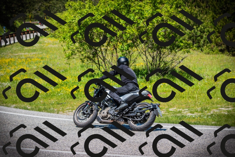 202505251228-DSC09435_c1_