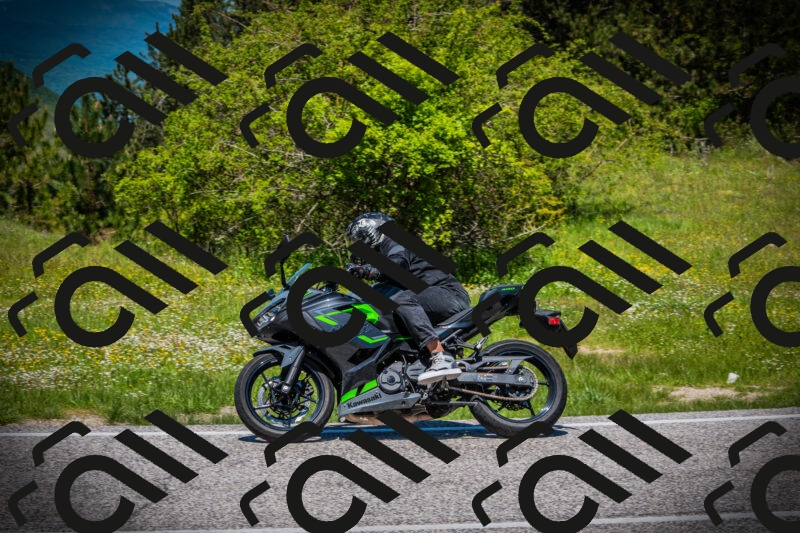 202505251228-DSC09436_c1_