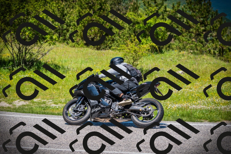 202505251228-DSC09439_c1_