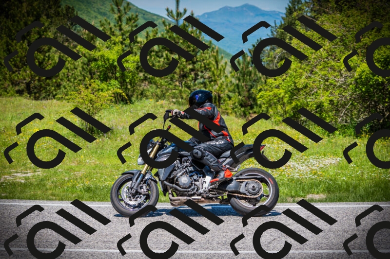 202505251228-DSC09443_c1_