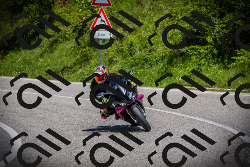 202505251228-DSC09445_c1_