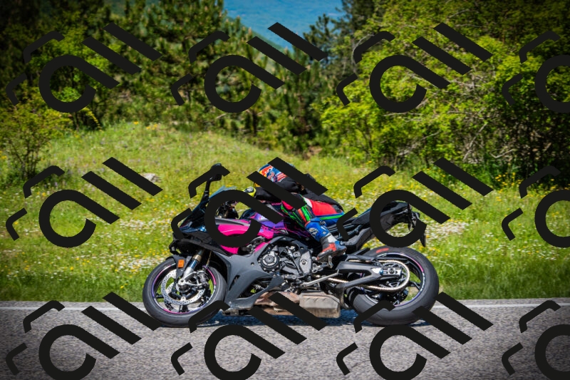 202505251228-DSC09448_c1_