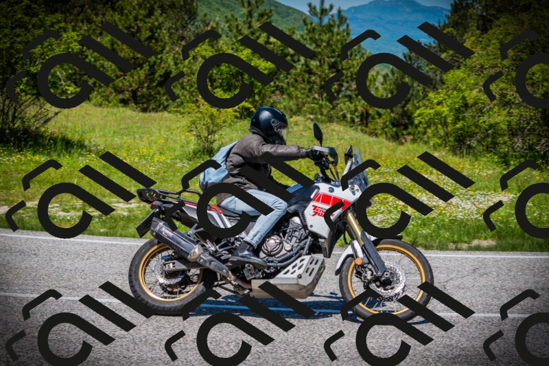 202505251230-DSC09486_c1_