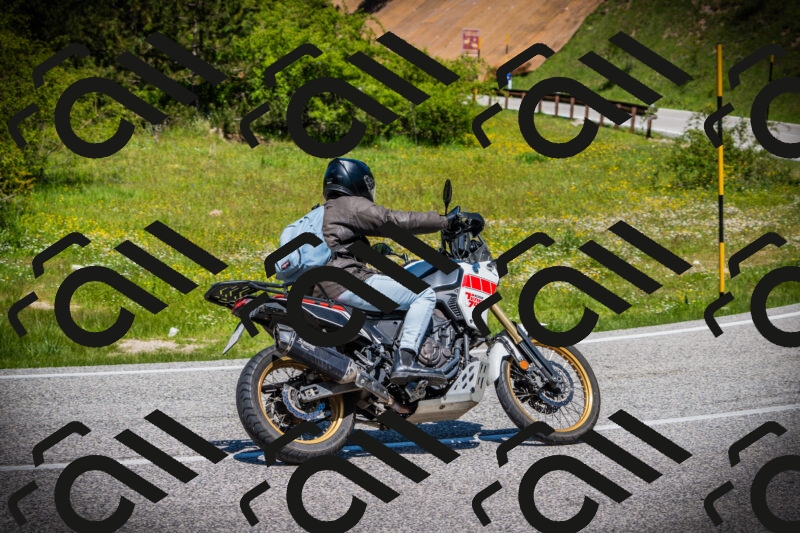 202505251230-DSC09487_c1_