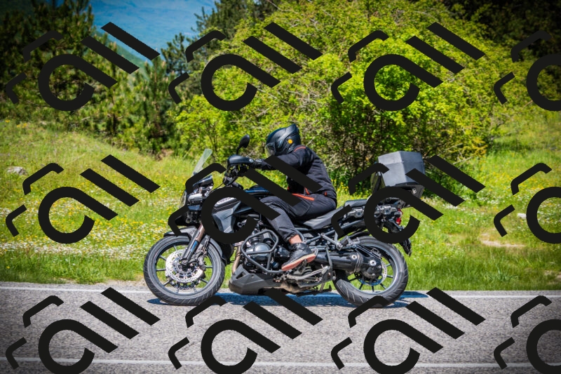 202505251232-DSC09512_c1_