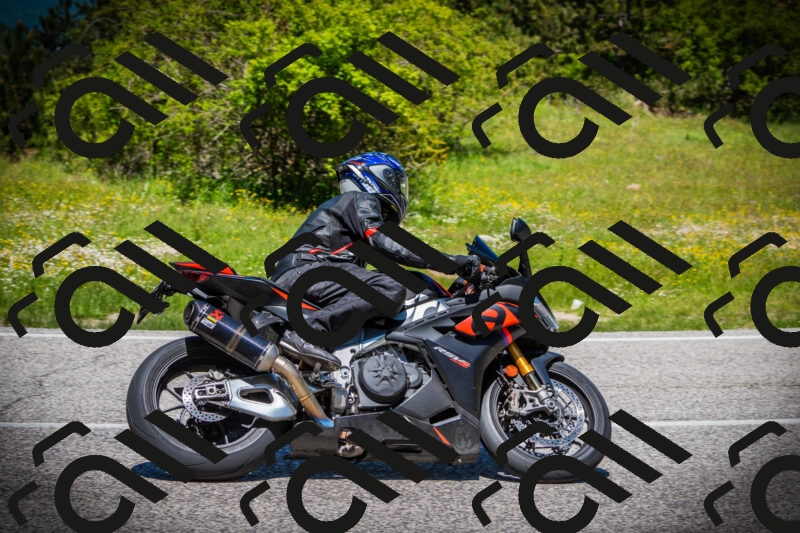 202505251233-DSC09519_c1_