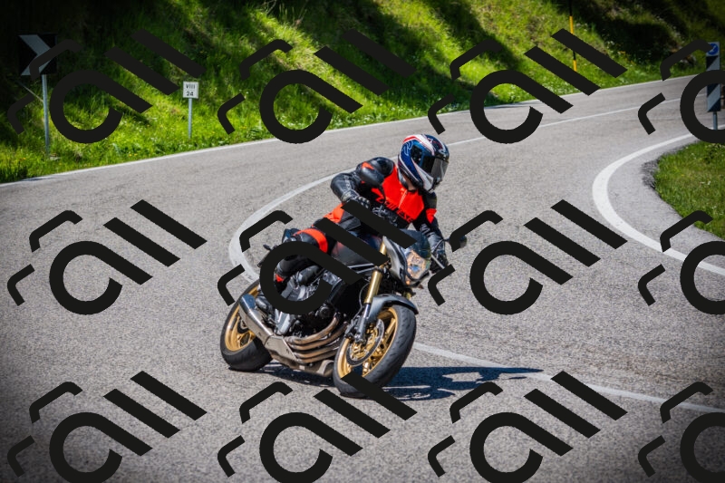 202505251233-DSC09529_c1_