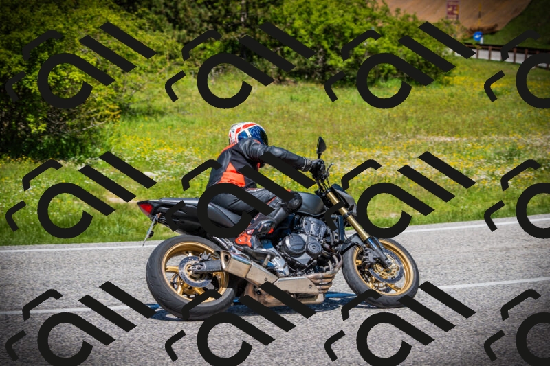 202505251233-DSC09531_c1_