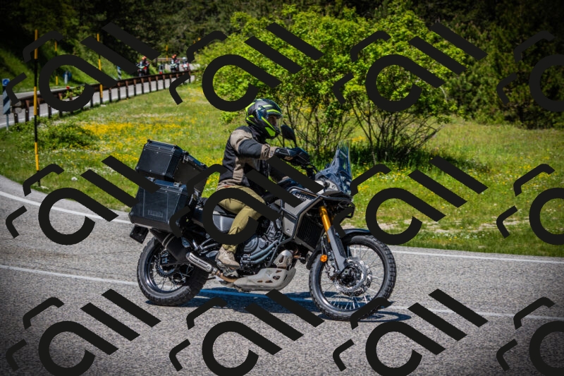 202505251234-DSC09534_c1_