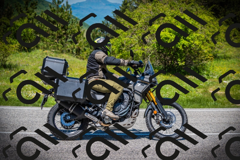 202505251234-DSC09535_c1_