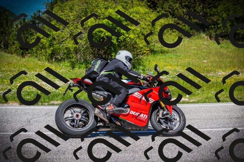 202505251234-DSC09545_c1_