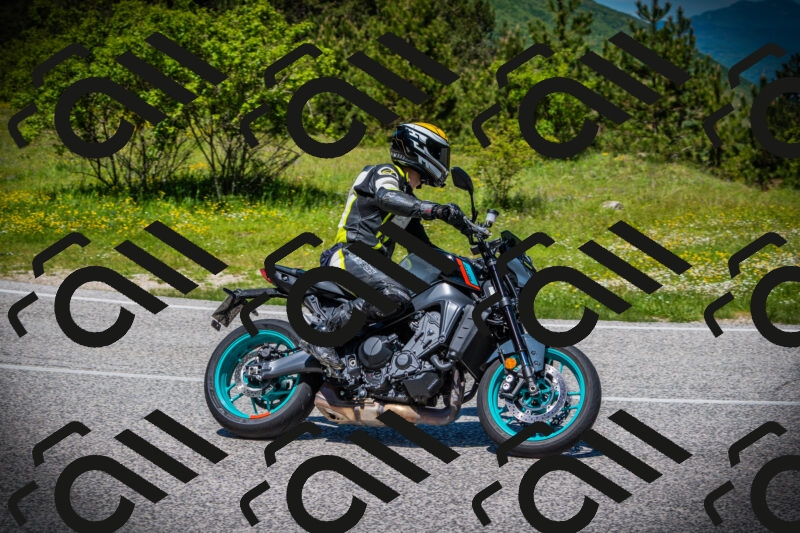 202505251234-DSC09554_c1_