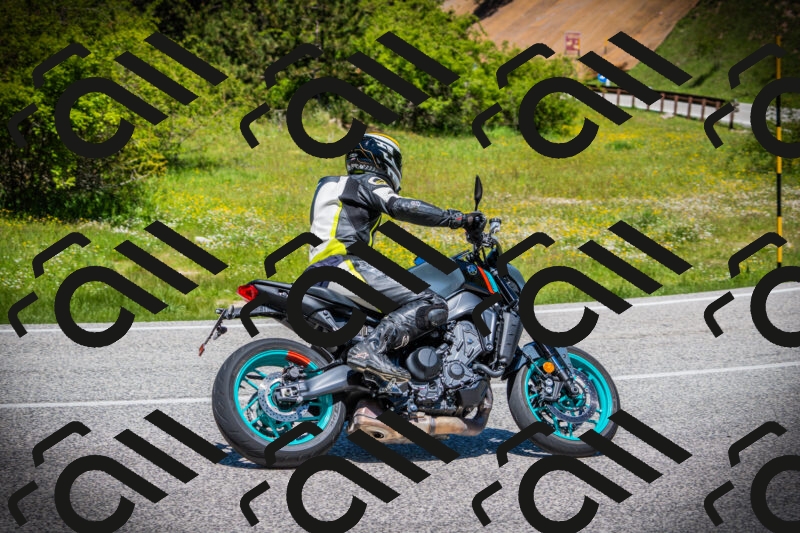 202505251234-DSC09555_c1_